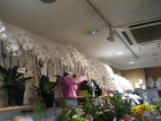 「花誠」　（東京都豊島区）の花屋店舗写真3