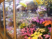 「花誠」　（東京都豊島区）の花屋店舗写真2